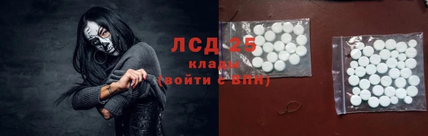 ГАЛЛЮЦИНОГЕННЫЕ ГРИБЫ Алзамай