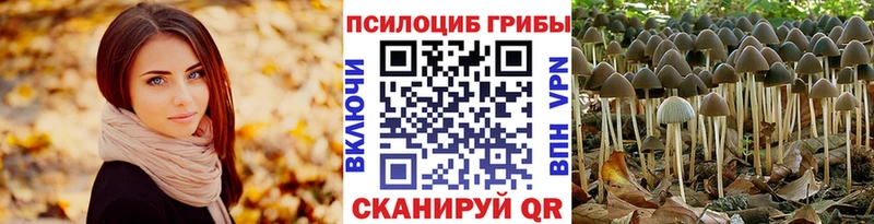 Псилоцибиновые грибы Cubensis  Горбатов 